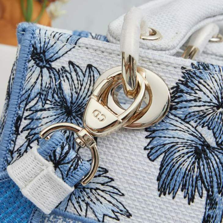 Picture of Dior Handbags _SKUfw239229756fw